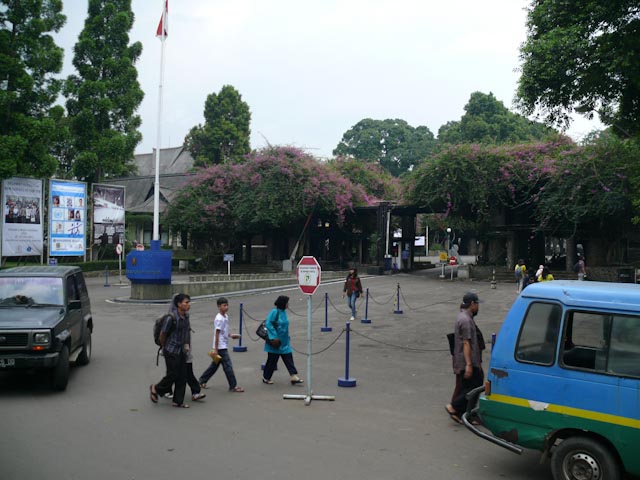 P1030352